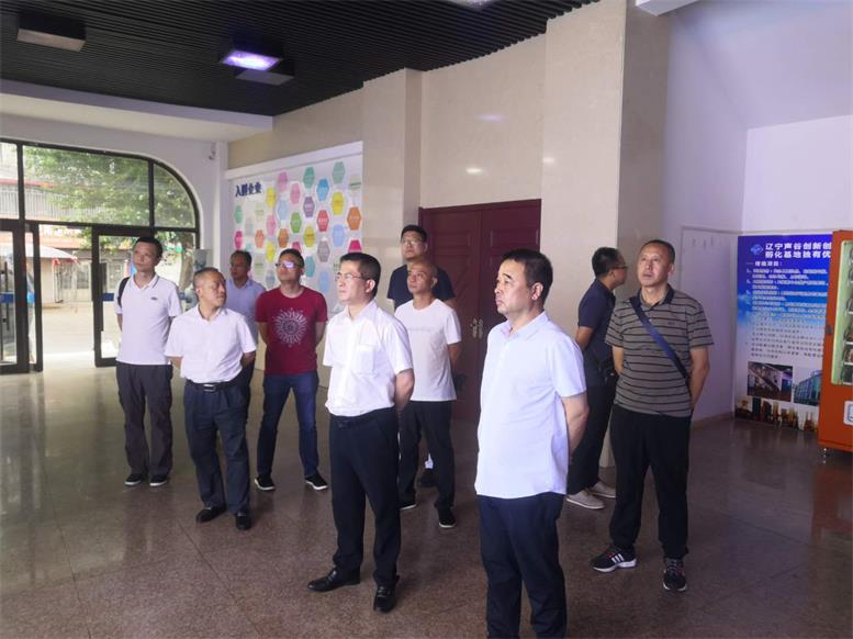 常务副县长王苏龙一行参观凯时AG服务表包公司.jpg 常务副县长王苏龙一行参观凯时AG服务表包公司.jpg