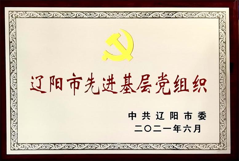 凯时AG集团荣获“辽阳市先进基层党组织”称号